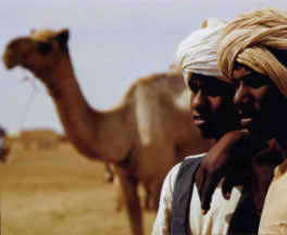 [Morocco,+Camels.jpg]