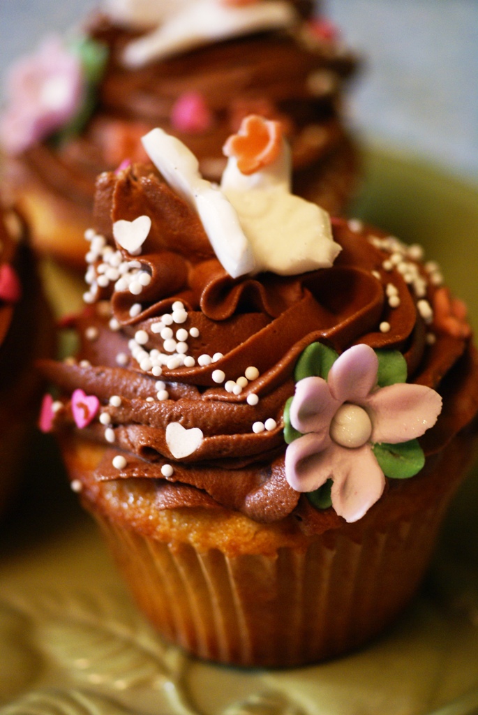 [spring+cupcake.JPG]