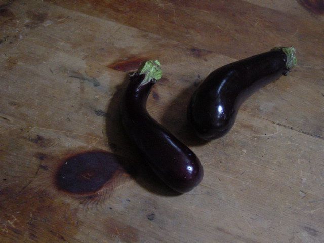 [eggplantsbymarguerita.jpg]