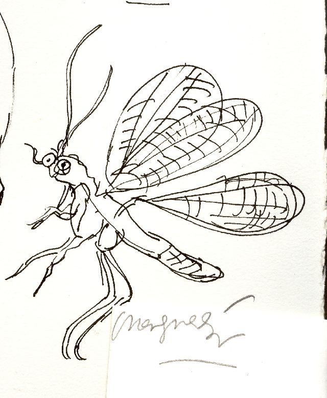 [insect+drawing+by+marguerita.jpg]