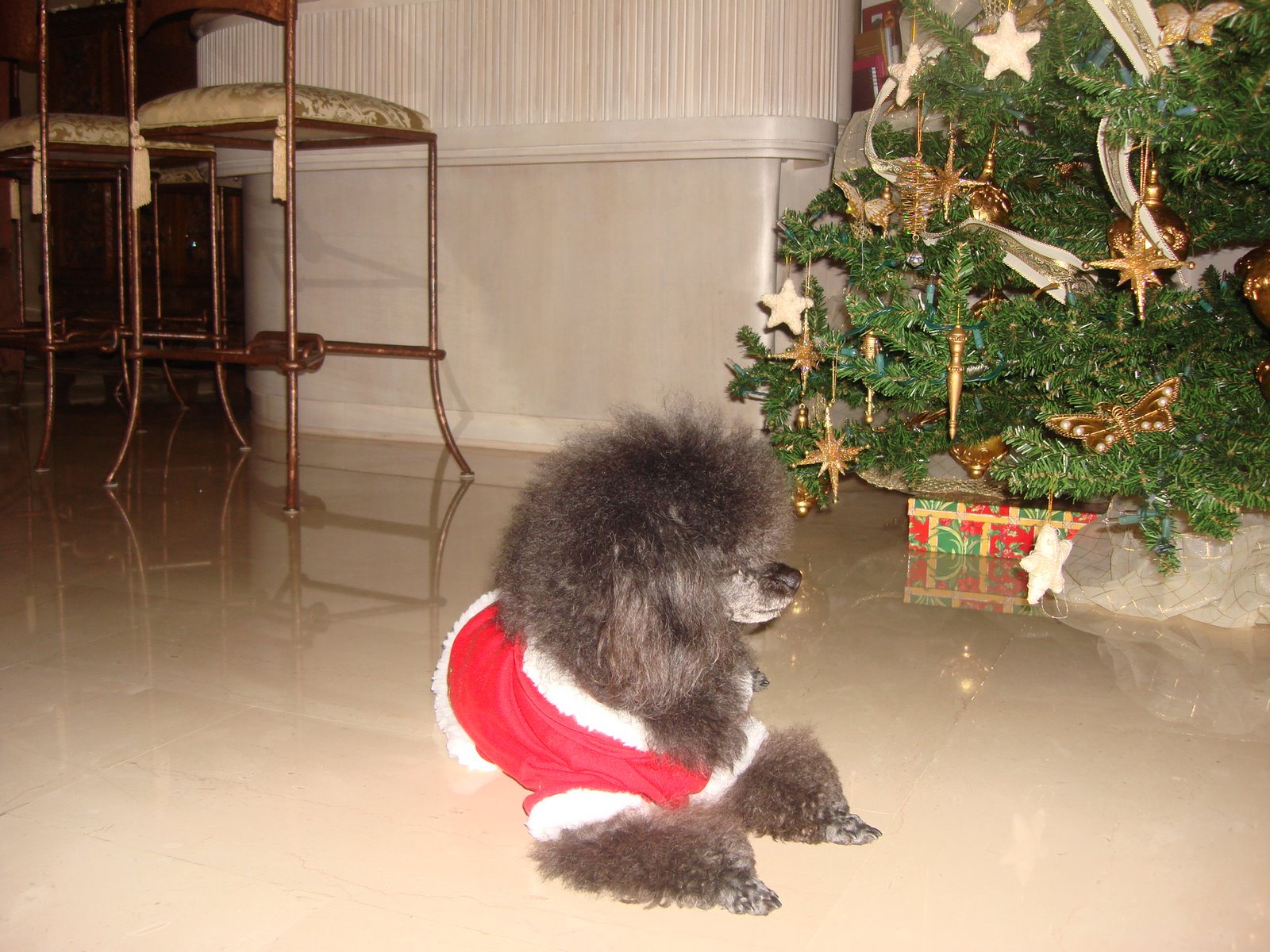 [Navidad+2007+002.jpg]