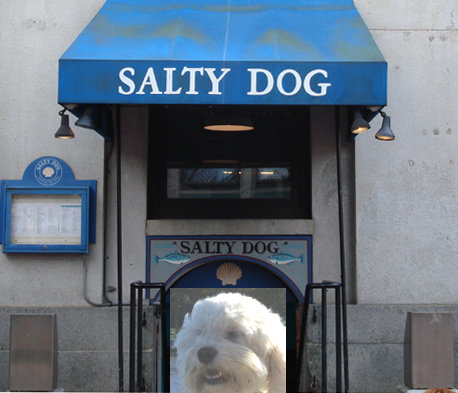 [salty+Tavern+Boston.jpg]