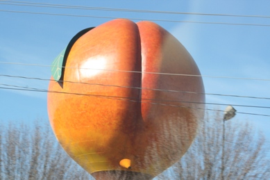 [Ass+peach.jpg]