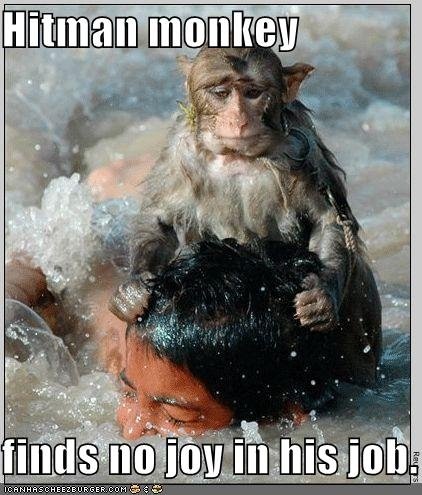[hitman+monkey.jpg]