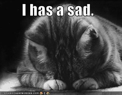 [sad+kitty.jpg]
