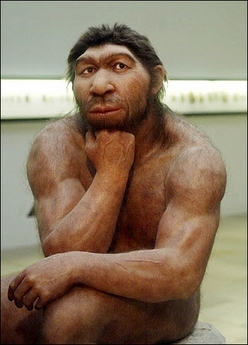 [NeanderthalManReconstruction.jpg]