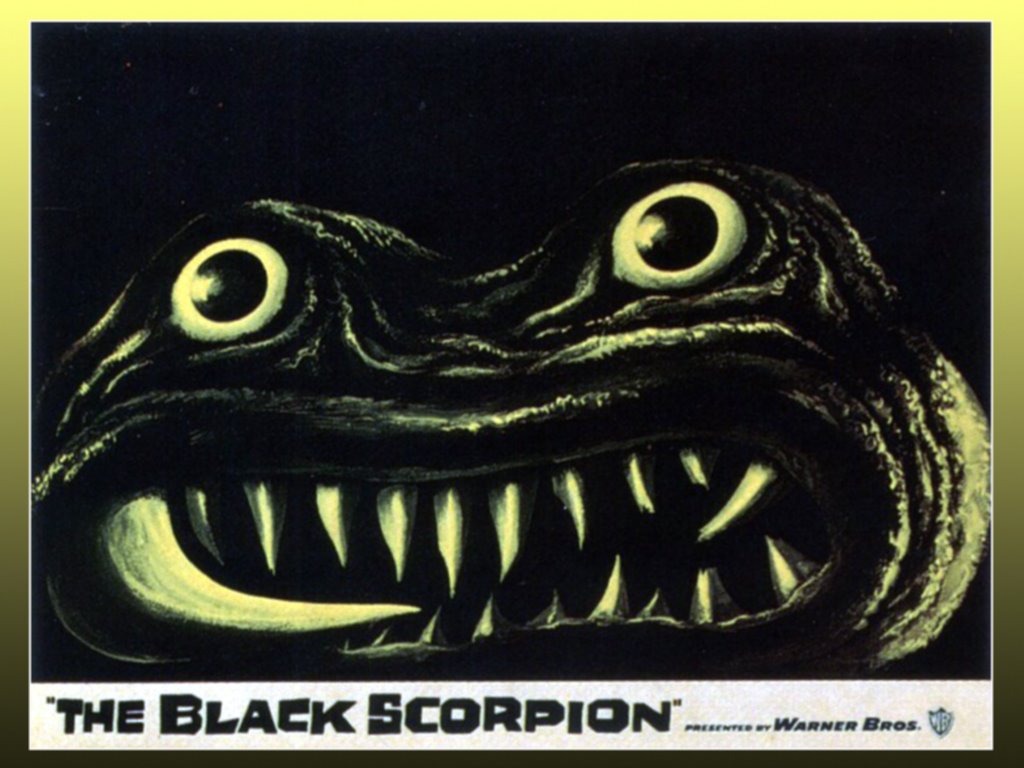 [00-BlackScorpion.jpg]