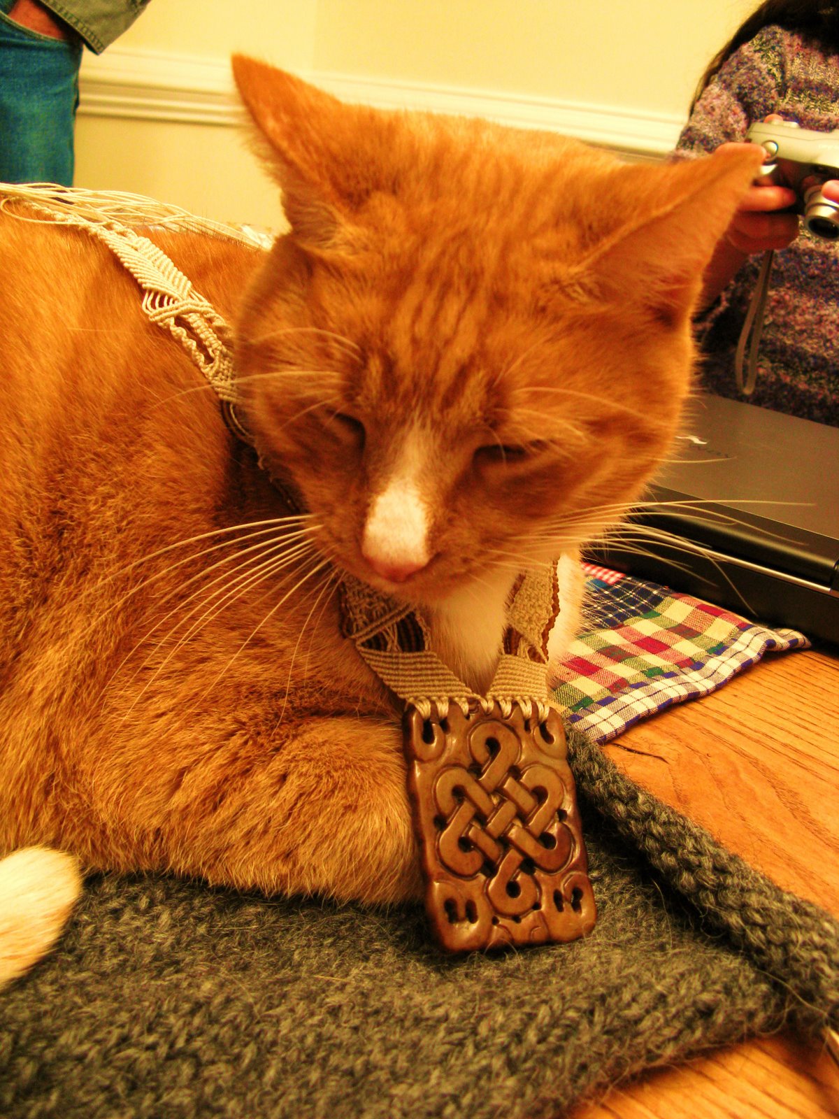 [necklace+cat.jpg]