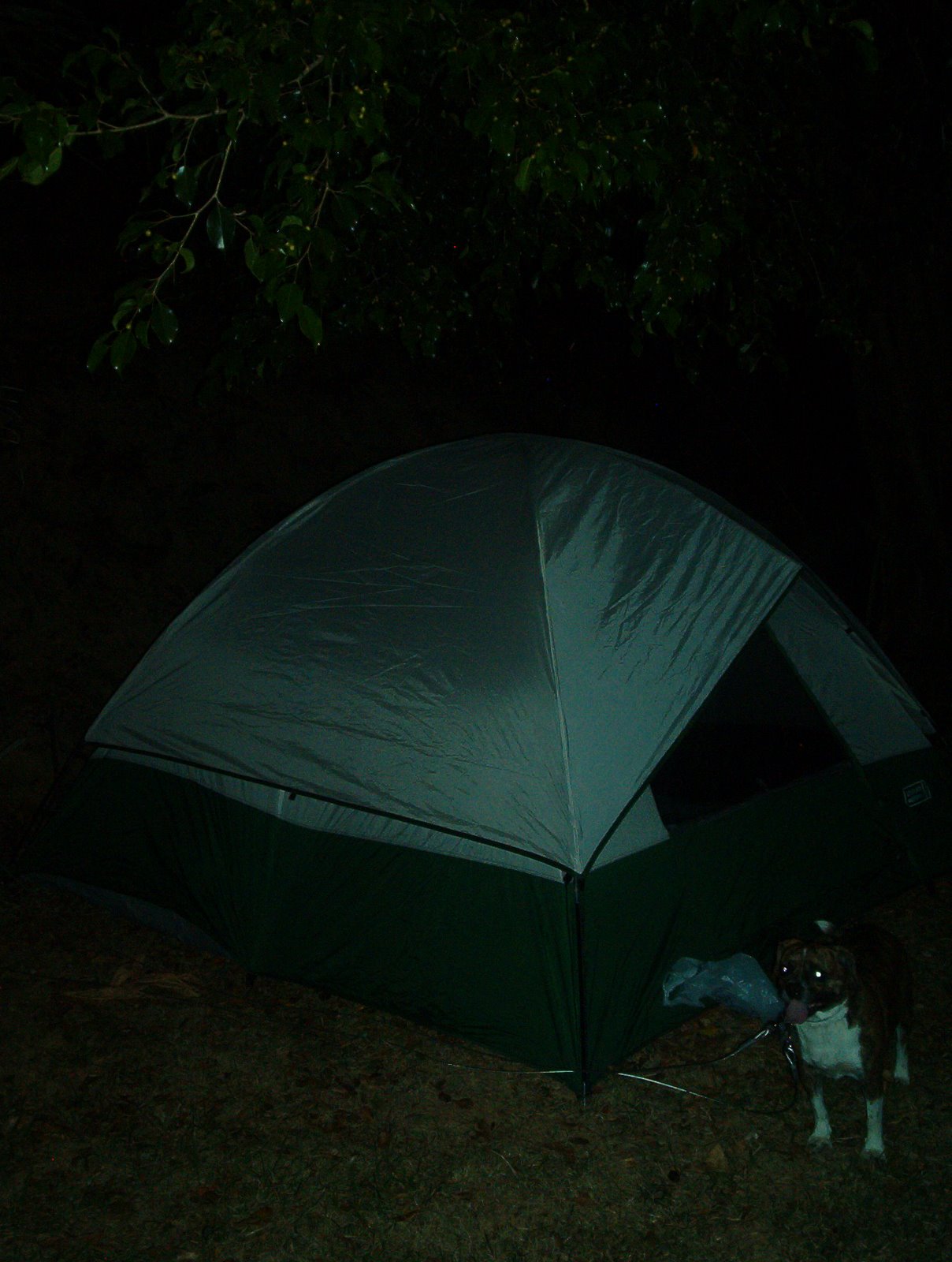 [camping+003.jpg]
