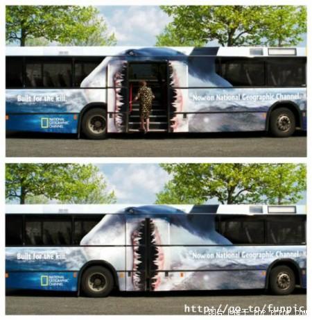 [bus+ad+shark.jpg]