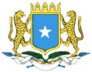 [somalie+flag+image.jpg]