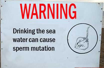 [sea-water-sperm-mutation.jpg]