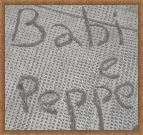 [peppe+and+babu.jpg]