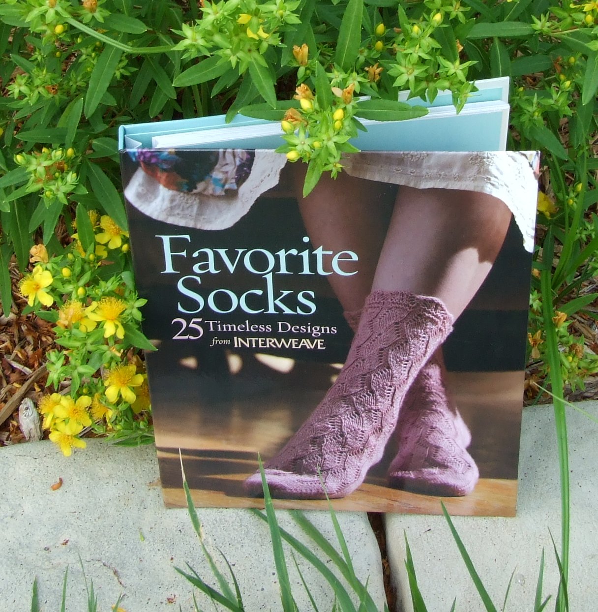 [Favorite+socks+book.jpg]