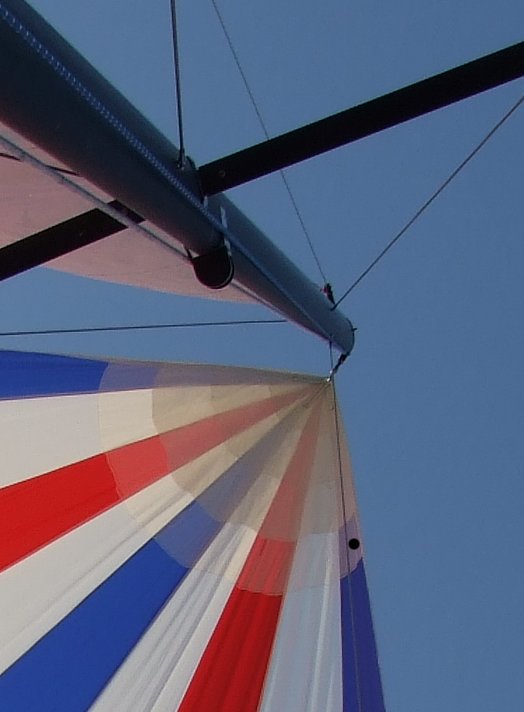 [Top+of+the+spinnaker+2+~+cropped+with+tear+marked.jpg]
