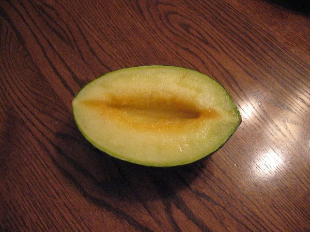 [melon+009.jpg]