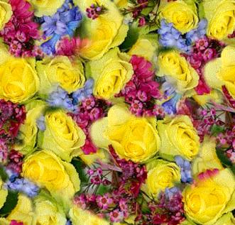 [1-bouquet-mixed-colors.jpg]