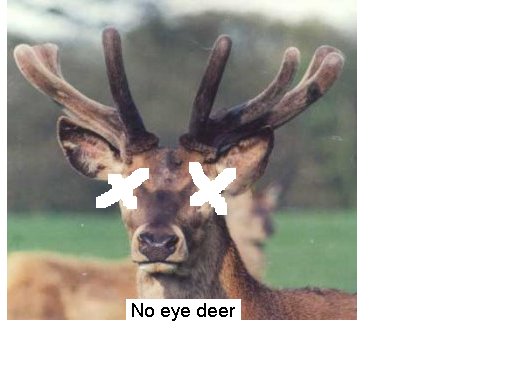 [no+eye+deer.bmp]