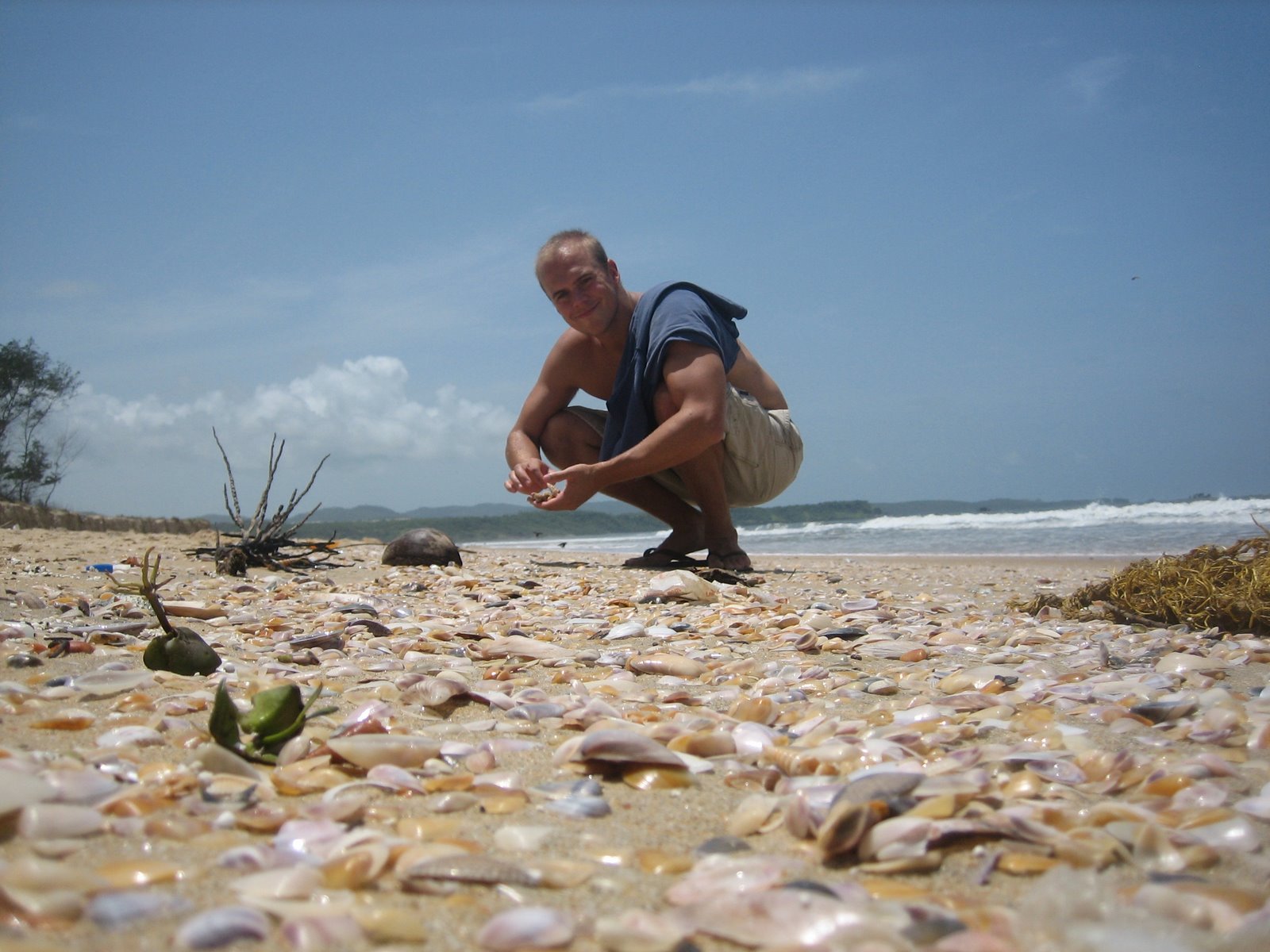 [Dave+India+beach+shells.JPG]