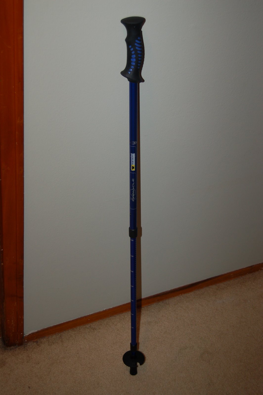 His trekking pole - it's an effort to look like Dr. House.