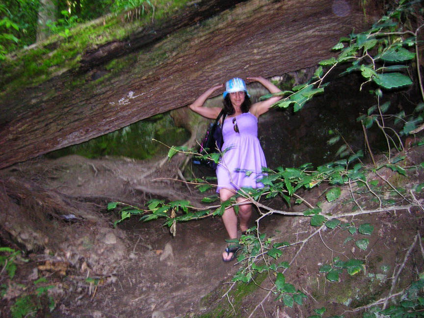 [hiking+tree+me.jpg]