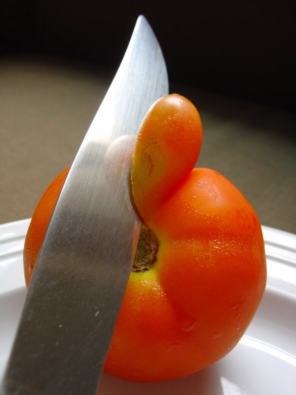 [Tomate+(11).JPG]