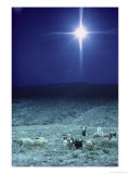 [131218_b~Shepherds-Watch-Their-Flocks-Under-the-Light-from-a-Distant-Star-near-Bethlehem-Israel-Posters.jpg]