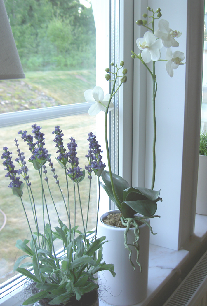 [Orkide+o+lavendel.jpg]