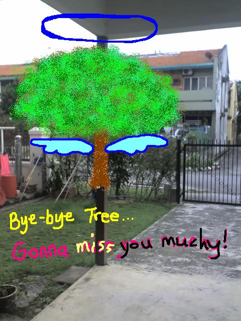 [tree3.JPG]