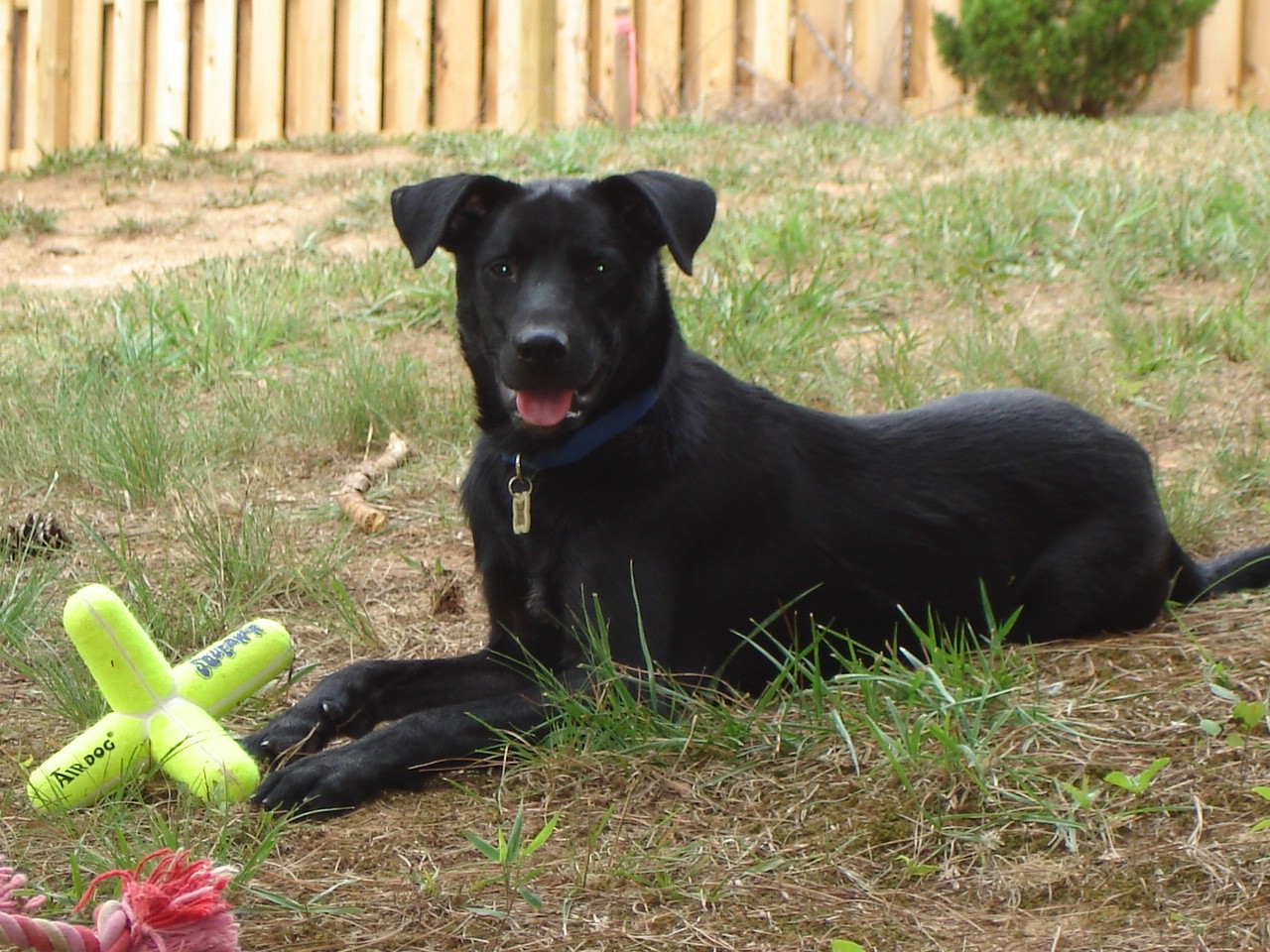 [Reilly+with+toy.jpg]
