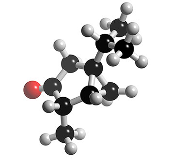 [molecule.jpg]