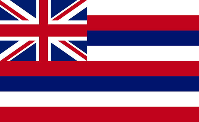 [hawaiianSTATEflagLARGE.png]