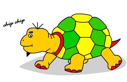 [turtle.jpg]