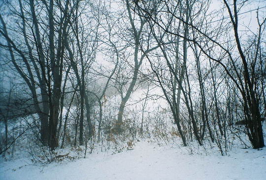[Winter-in-Madison-01.JPG]