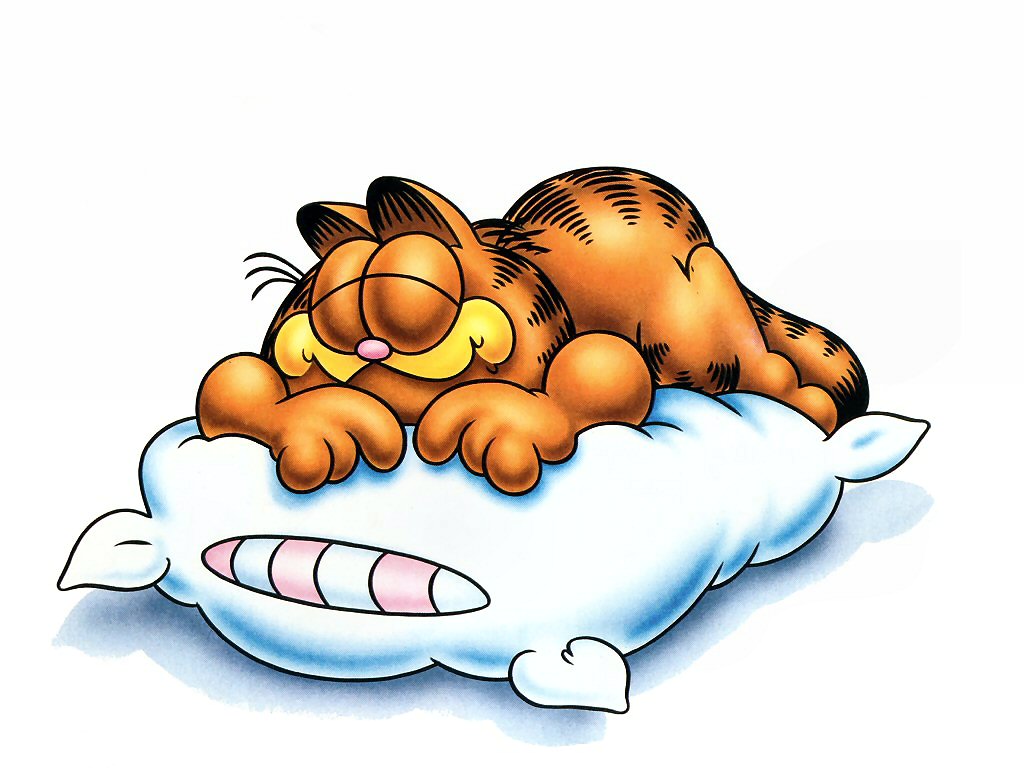 [Garfield Sleepy.jpg]