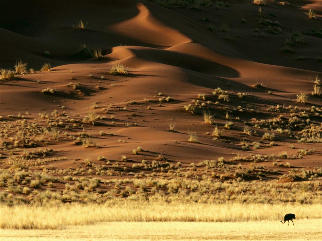 [2007021403193217_Rising Sands, Namib Desert, Namibia, Africa - 16.jpg]
