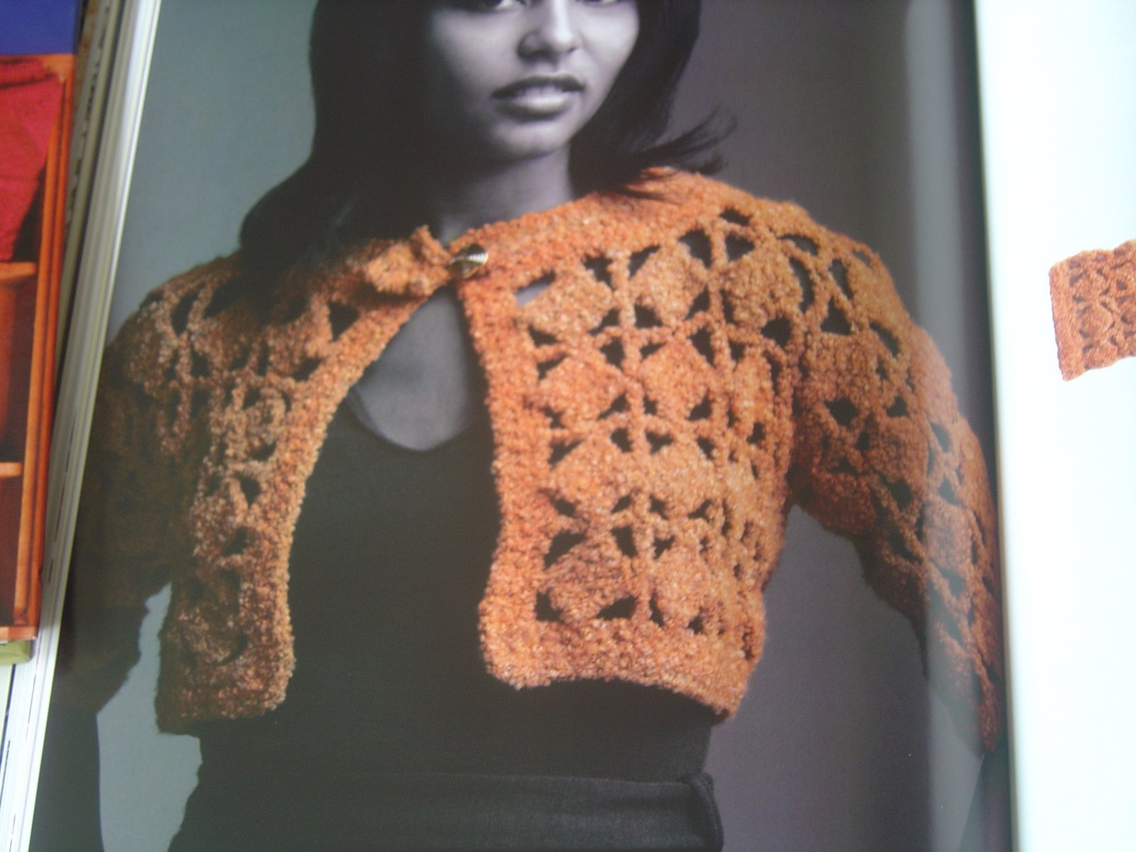 [Amazing+lace+crochet+book+010.JPG]