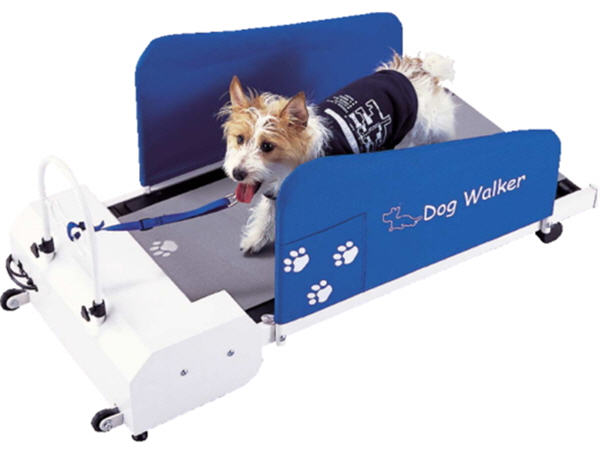 [dog-walker-treadmill.jpg]