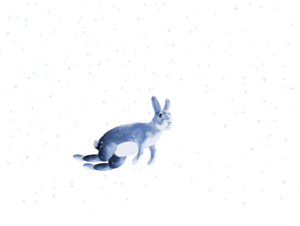 [rabbit_on_white.jpg]
