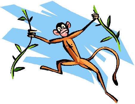 [monkey_swinging.gif]