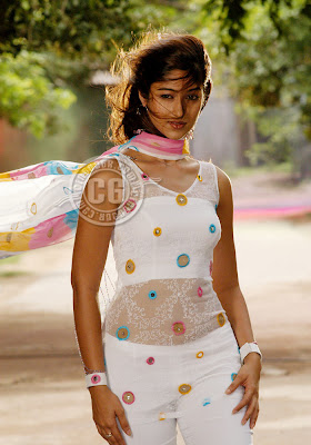 Hot South Indian Actress ileana Sexy photos | Hot Indian ...