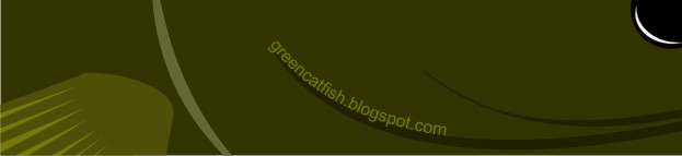 [bookmarks+greencatfish.jpg]