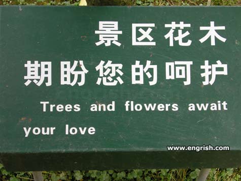 [trees-and-flowers.jpg]