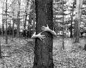 [tree+hugger.jpg]