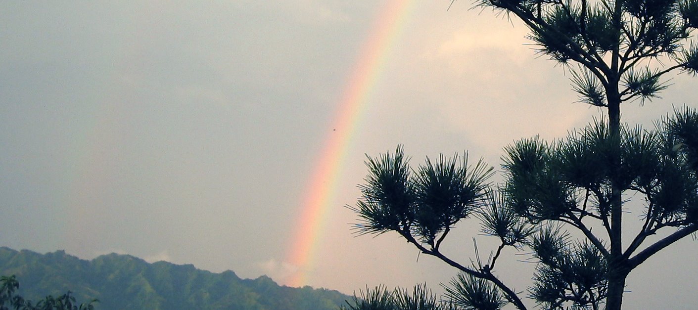 [rainbow_02.jpg]