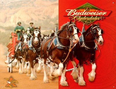 [Budweiser-Clydesdales-Posters.jpg]