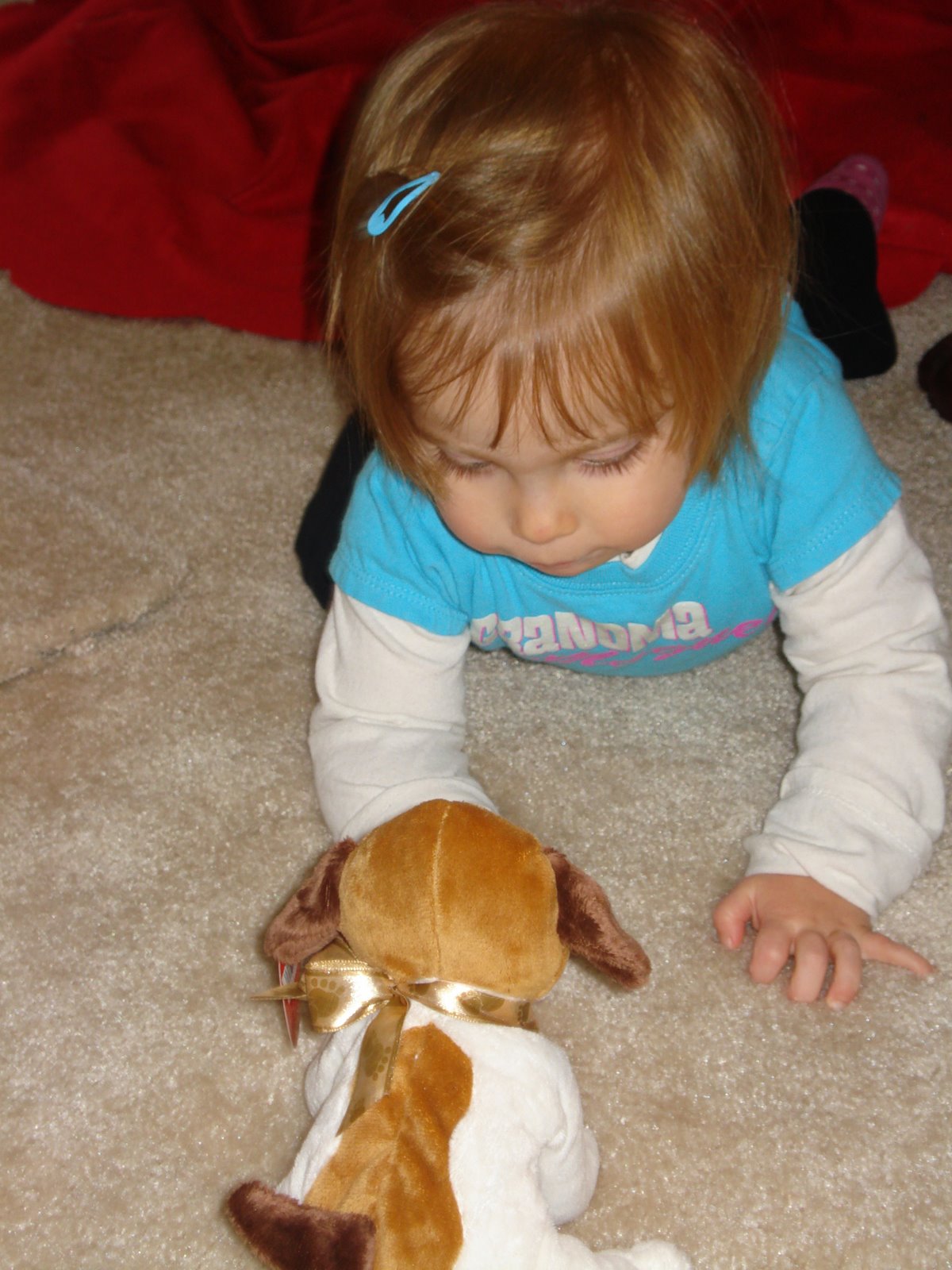 [Darcy+and+Puppy+003.jpg]