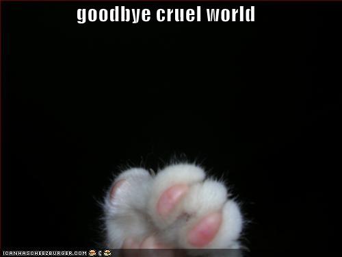 [funny-picture-goodbye-cruel-world.jpg]
