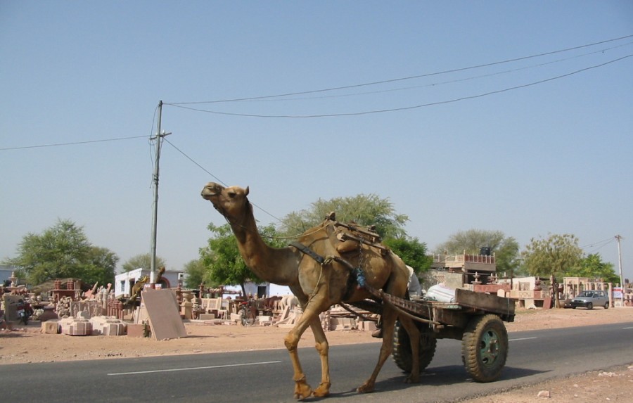 [Straßenszene+in+Indien+mit+Kamel+und+Steinmetzen.jpg]