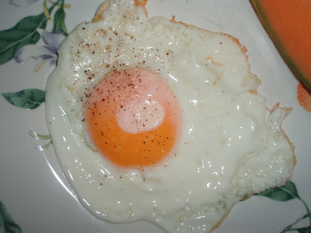 [egg.JPG]